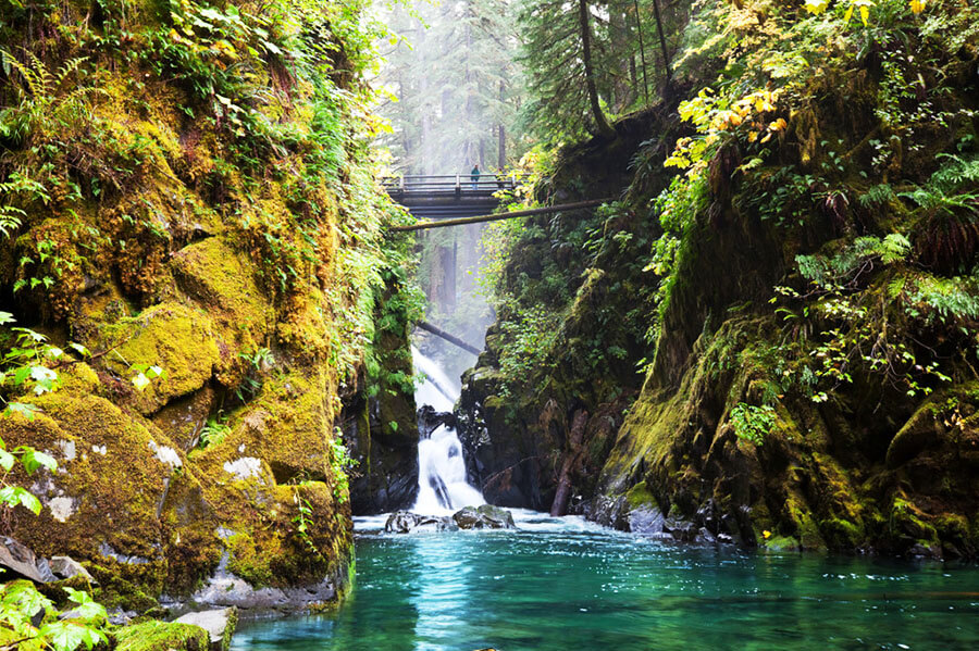 The Olympic National Park is located in Washington state and offers stunning views of the Olympic mountains