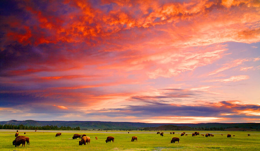 The Yellowstone National Park is located in Wyoming and offers stunning views of the Rocky Mountains. The park is home to geysers, waterfalls, and wildlife. The park is perfect for hikers of all levels of experience.