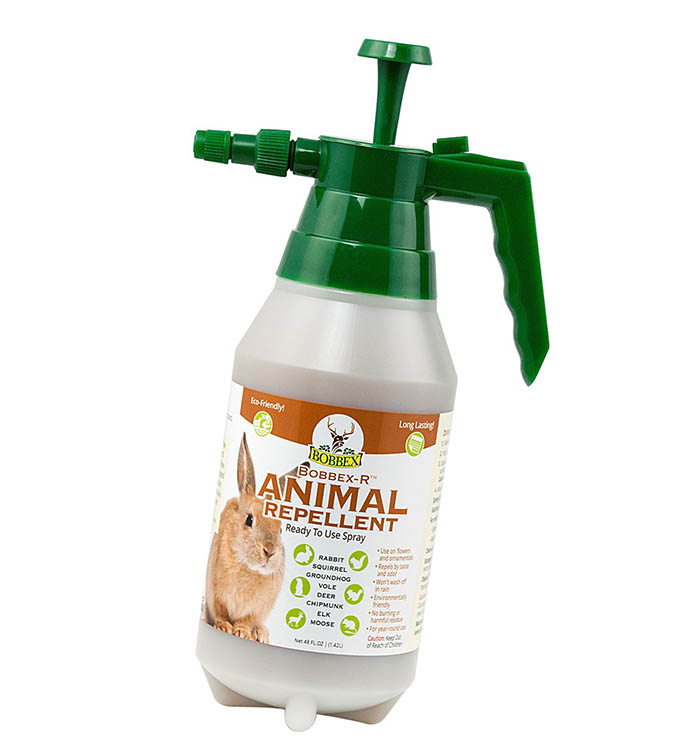 Animal repellent can help keep away pesky critters, like mice and squirrels, that might try to invade your camp.
